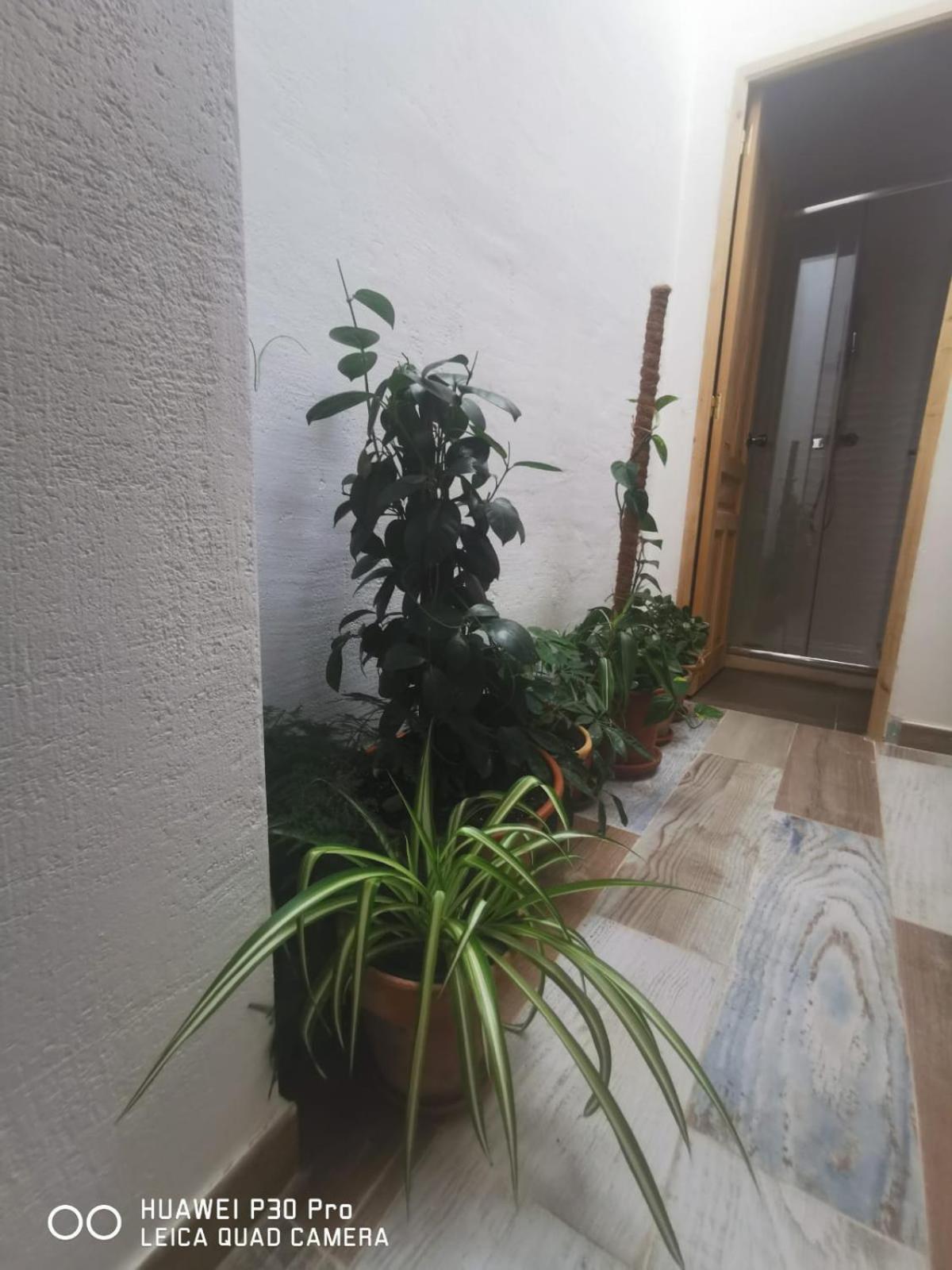 Apartament Cassa Beata En La Colina Cullera Zewnętrze zdjęcie